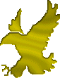 eagle5.gif (3378 bytes)