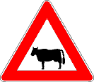 I'm talking real stinking BULL SHIT!