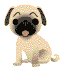 Don't you love my puppy?