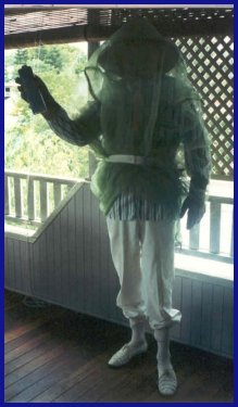 Dad fighting wasps