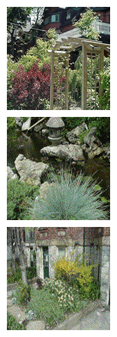 Visit Manchester Garden Centre