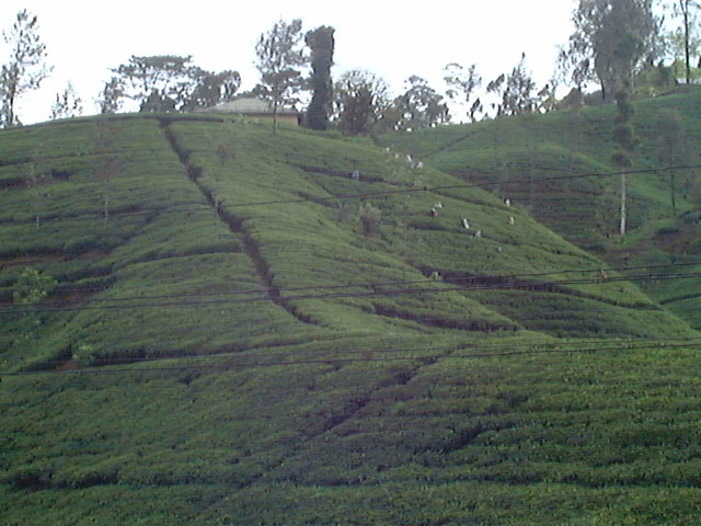 Sri Lanka