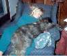 Sleeping Beauties