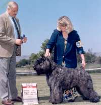 Handler