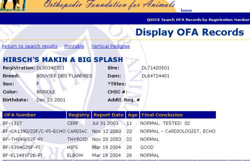 Splash's OFA 