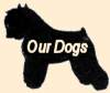 Our Dogs