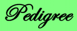 Click Here For Pedigree