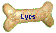 Eyes