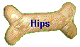 Hips