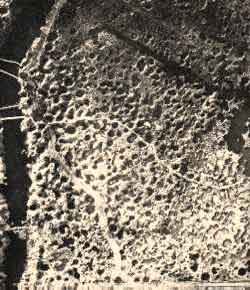 vista_aerea_ypres