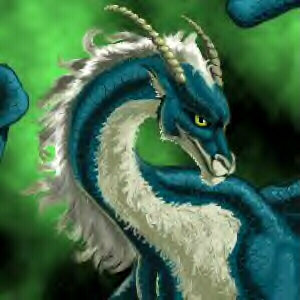 fuzzy wuzzy