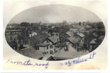 View from the roof
