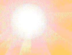 Bird and Sunshine