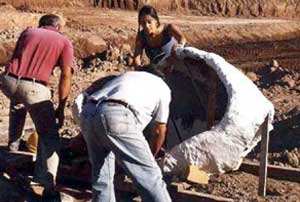 Historia Argentina y de General Rodriguez: Paleontologia, descubrimientos en la Argentina, la zona de Lujan, Museos de Ciencias Naturales, Florentino Ameghino, noticias y articulos, huesos fosiles, fotos e imagenes - Origenes de General Rodriguez, sus fundadores, personalidades y hechos relevantes, comercios e industrias, aspectos economicos, politicos, culturales, artisticos, deportivos y cientificos, sociedad e instituciones, estancias y familias