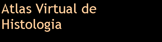 Caixa de texto: Atlas Virtual de Histologia
