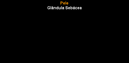 Caixa de texto: PeleGl�ndula Seb�cea  