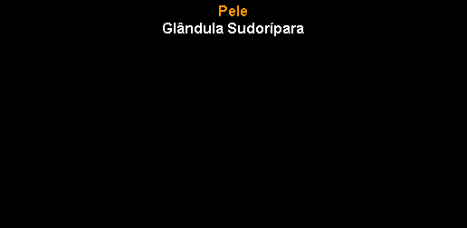 Caixa de texto: PeleGl�ndula Sudor�para  