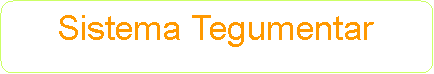 Ret�ngulo de cantos arredondados: Sistema Tegumentar
