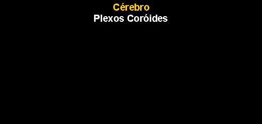 Caixa de texto: C�rebroPlexos Cor�ides 