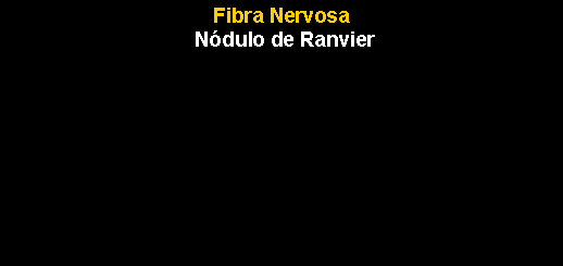 Caixa de texto: Fibra Nervosa N�dulo de Ranvier