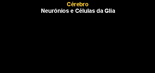 Caixa de texto: C�rebro Neur�nios e C�lulas da Glia  