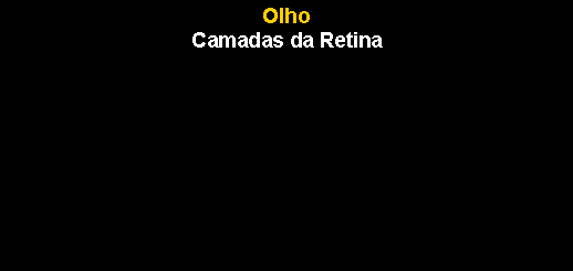 Caixa de texto: OlhoCamadas da Retina