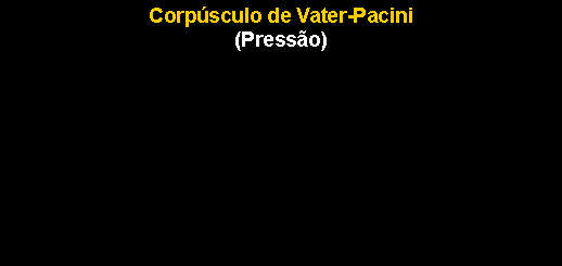 Caixa de texto: Corp�sculo de Vater-Pacini (Press�o)