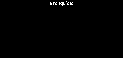 Caixa de texto: Bronqu�olo