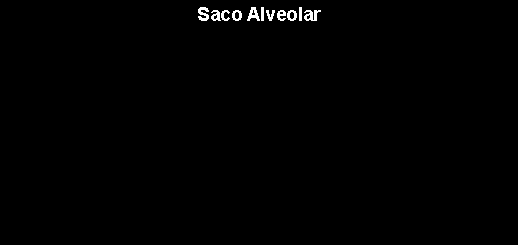 Caixa de texto: Saco Alveolar