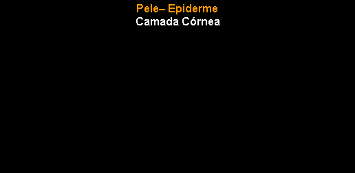 Caixa de texto: Pele� EpidermeCamada C�rnea