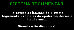 Caixa de texto: SISTEMA TEGUMENTAR
► Estude as lâminas do Sistema Tegumentar, como as da epiderme, derme e hipoderme...
Visualização disponível
