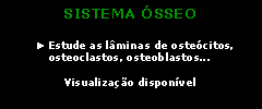 Caixa de texto: SISTEMA ÓSSEO
► Estude as lâminas de osteócitos, osteoclastos, osteoblastos...
Visualização disponível