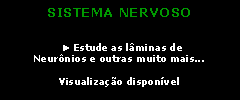Caixa de texto: SISTEMA NERVOSO
► Estude as lâminas de
Neurônios e outras muito mais...
Visualização disponível