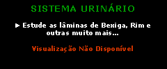 Caixa de texto: SISTEMA URINÁRIO
► Estude as lâminas de Bexiga, Rim e outras muito mais...
Visualização Não Disponível