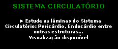 Caixa de texto: SISTEMA CIRCULATÓRIO
► Estude as lâminas do Sistema Circulatório: Pericárdio, Endocárdio entre outras estruturas...
Visualização disponível