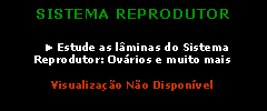 Caixa de texto: SISTEMA REPRODUTOR&nbsp;  ► Estude as l�minas do Sistema Reprodutor: Ov�rios e muito mais &nbsp;Visualiza��o N�o Dispon�vel
