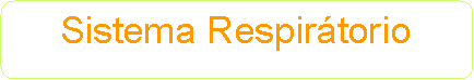Retângulo de cantos arredondados: Sistema Respirátorio