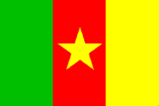 Flag of Cameroon