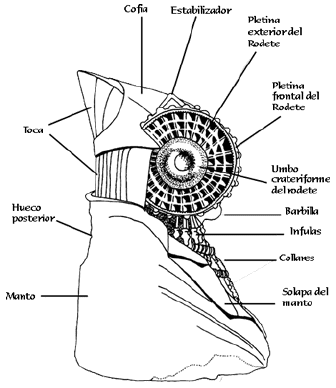 Dibuix de la imatge de la Dama d'Elx : lateral dret.