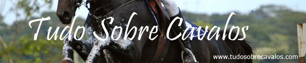 Link Tudo sobre Cavalos