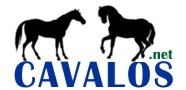 Link Cavalos