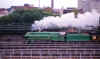rst2.jpg (111976 bytes)