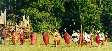 Roman soldiers plus Spartans. Copyright � Jenny Baker.