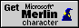 Install Merlin