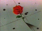 a_misc02.jpg (5854 Byte)