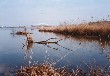 The Toyano Lagoon in winter.