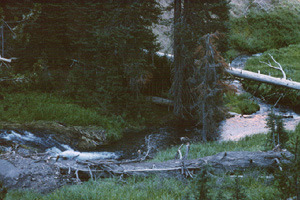 Dusk falls over the creek at the beginning of the trail