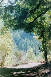 Coming out onto the open hills