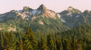 The Tatoosh Range from the meadows trail