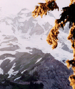 Above the glacier on the west side of Paradise